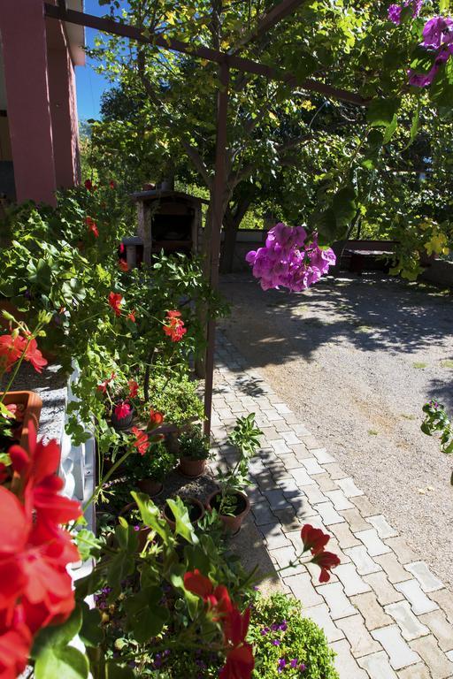 Apartments Zile Starigrad Paklenica Exteriör bild