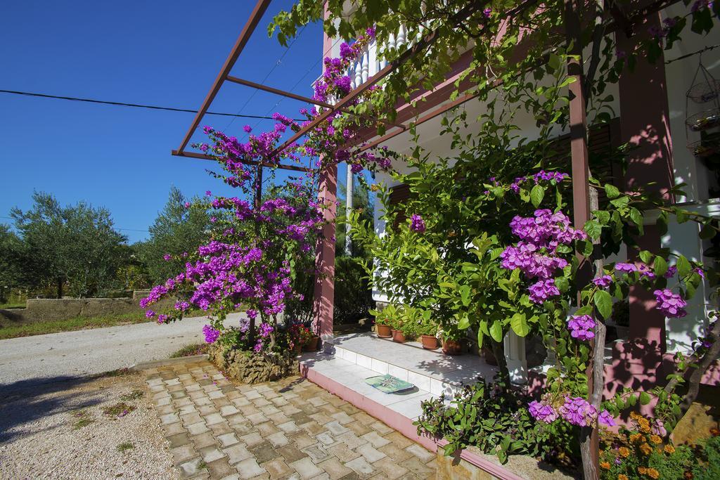 Apartments Zile Starigrad Paklenica Exteriör bild