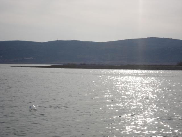 Apartments Zile Starigrad Paklenica Exteriör bild
